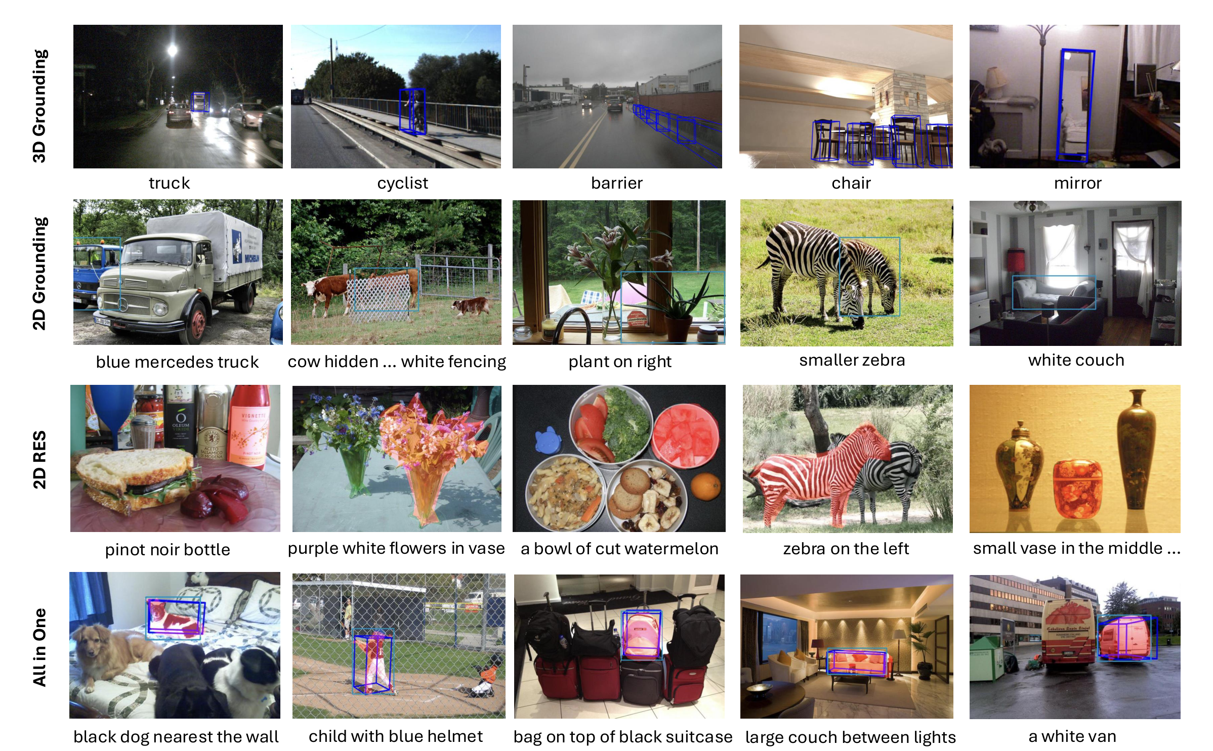 DVD qualitative results on 2D and 3D perception tasks